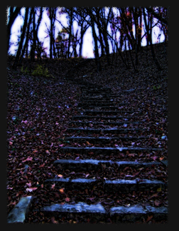 PRISM Hummel Park Morphing Stairs